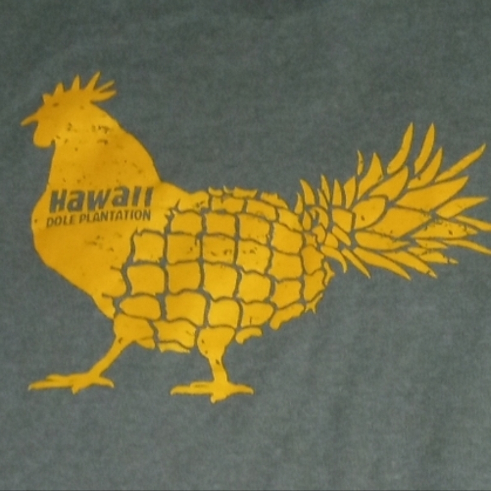 ISO an  Hawaii Dole Plantation Graphic T-Shirt : Please Help Me Find.